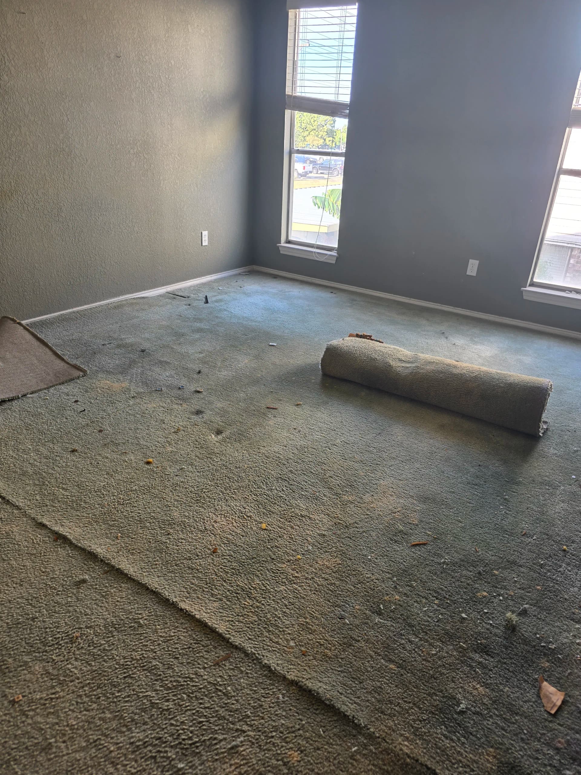 Gallery photos for Rental Home Floor Overhaul in Carrollton - Carpet and Laminate: Image #6