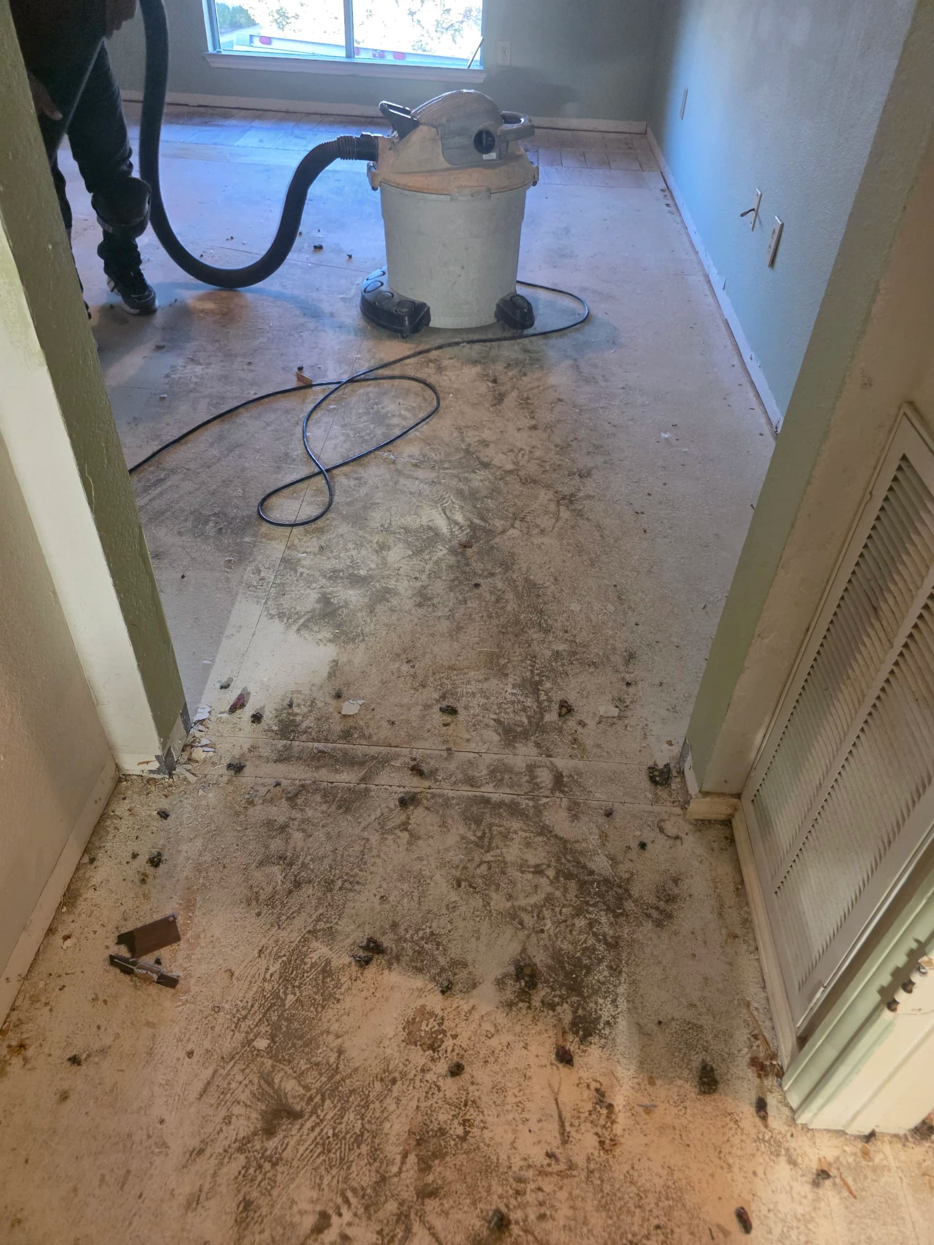 Phase 2 Hybrid Flooring Install Done Right in Frisco image