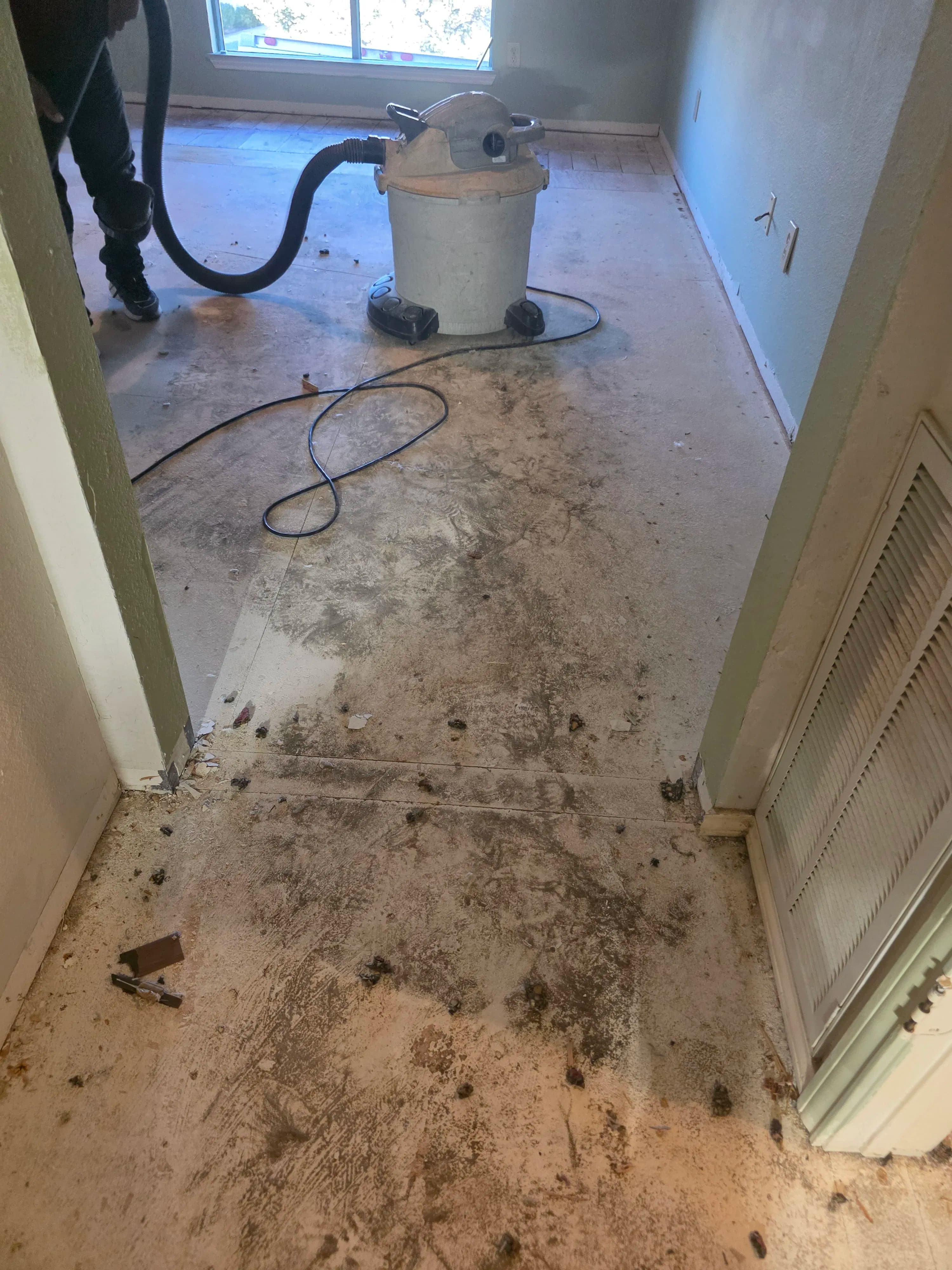 Project Phase 2 Hybrid Flooring Install Done Right in Frisco image