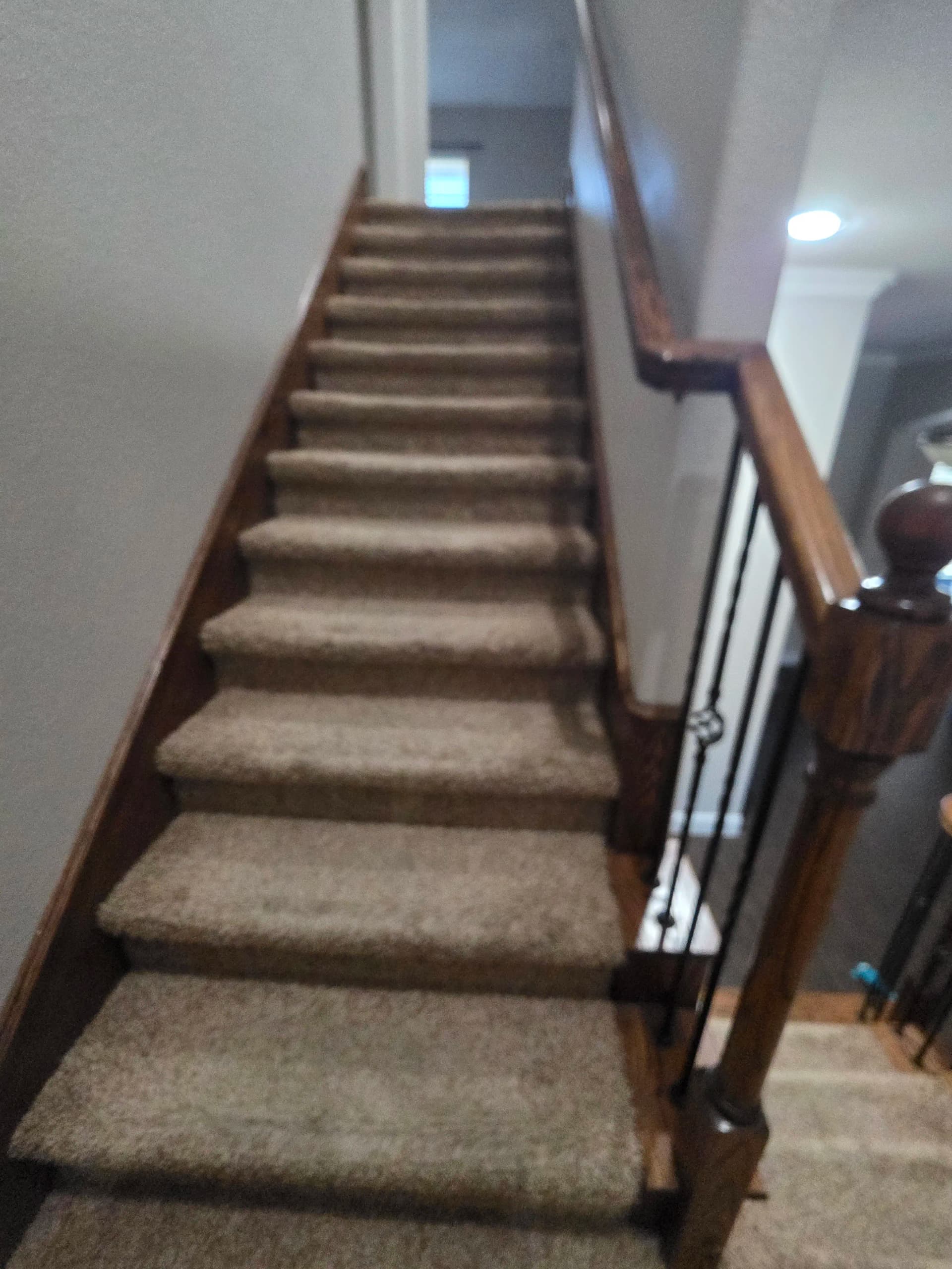 Gallery photos for Full Upstairs Carpet Install With Subfloor and Baseboard Repairs: Image #6