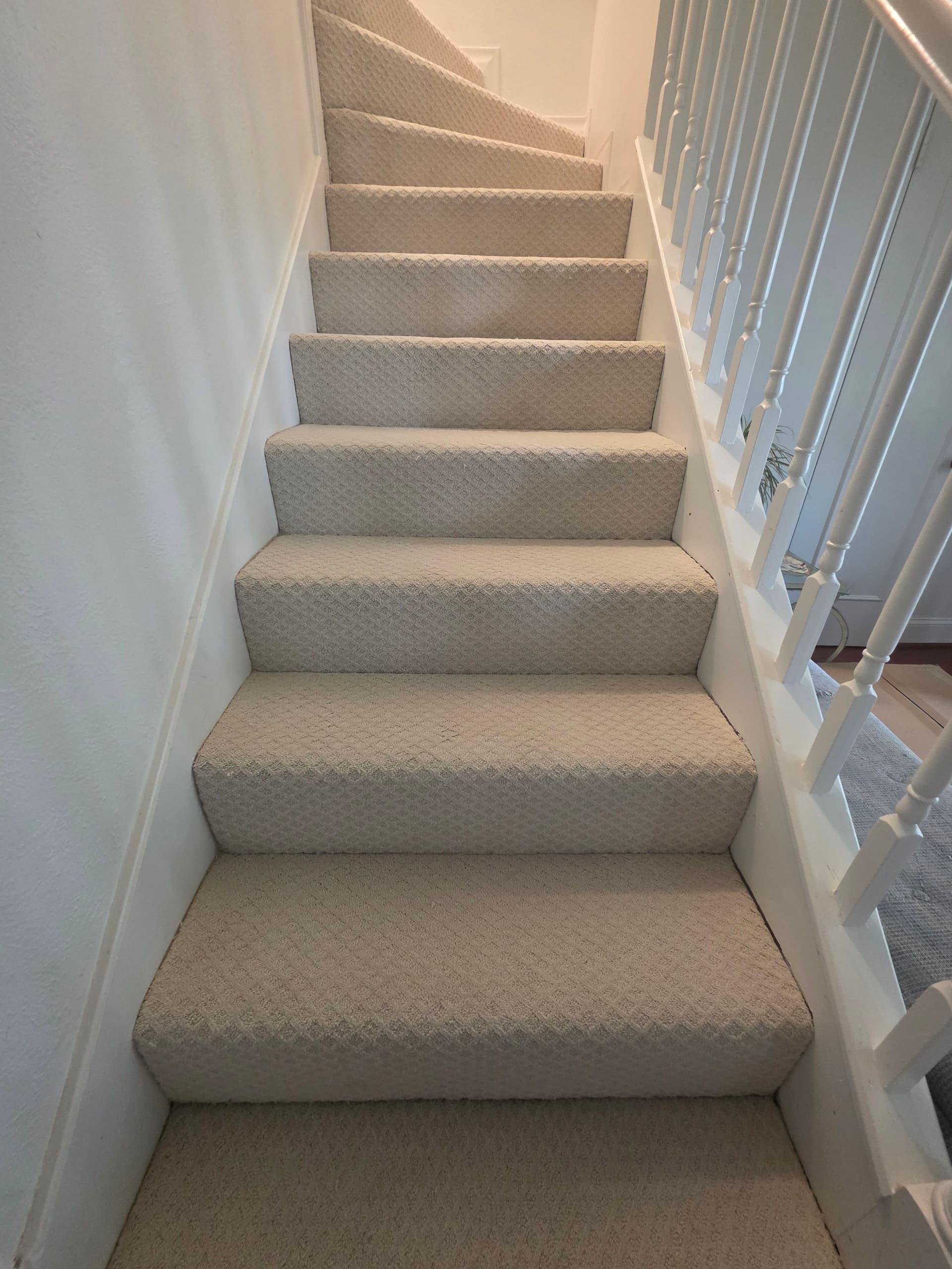 Gallery photos for Plush and Berber Carpet Installed Across 5 Rooms and Stairs: Image #5