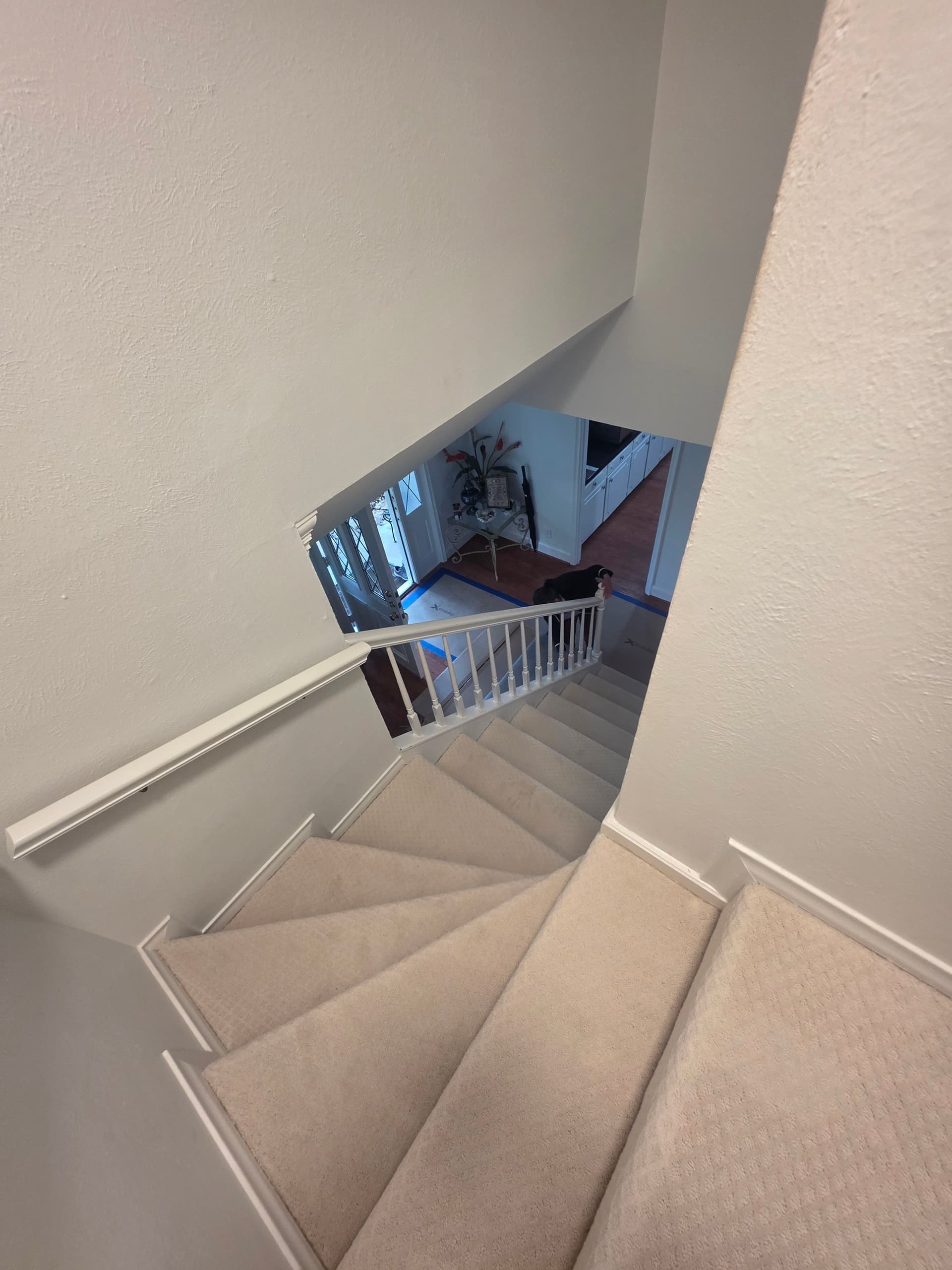 Gallery photos for Plush and Berber Carpet Installed Across 5 Rooms and Stairs: Image #7