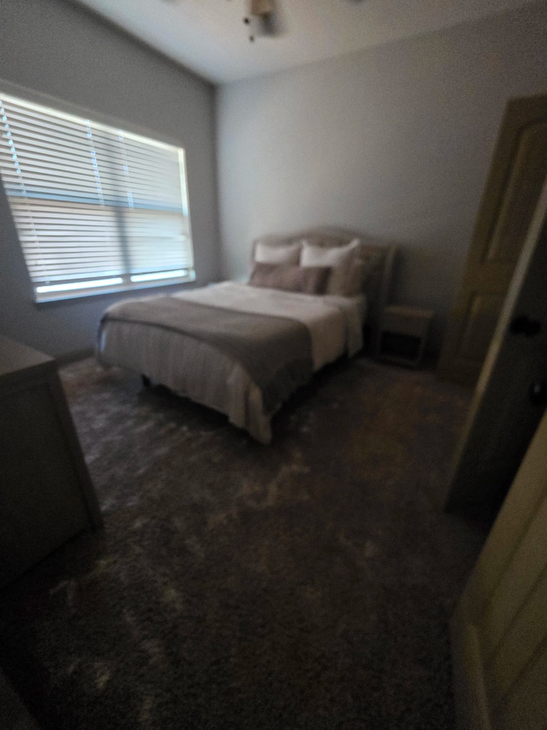 Gallery photos for Full Upstairs Carpet Install With Subfloor and Baseboard Repairs: Image #2