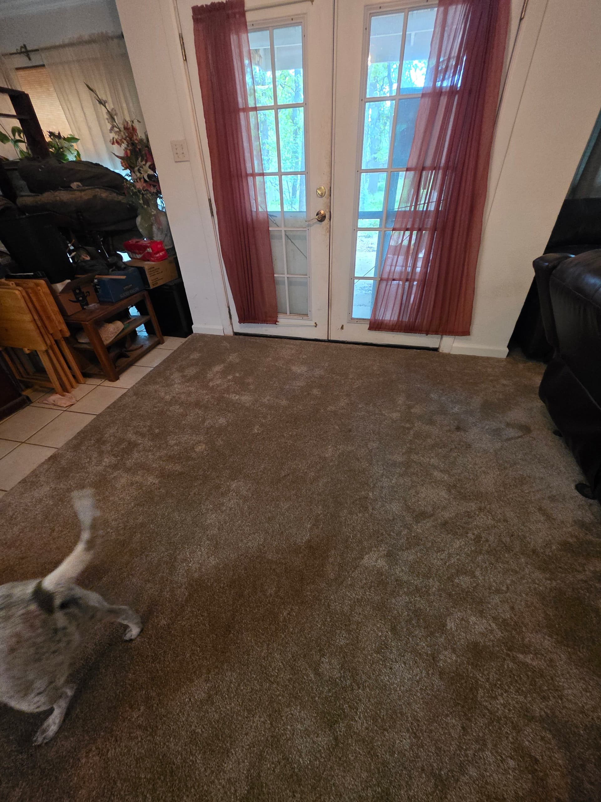 Gallery photos for 60oz Mohawk Carpet and New Baseboards Installed Throughout This Home: Image #9