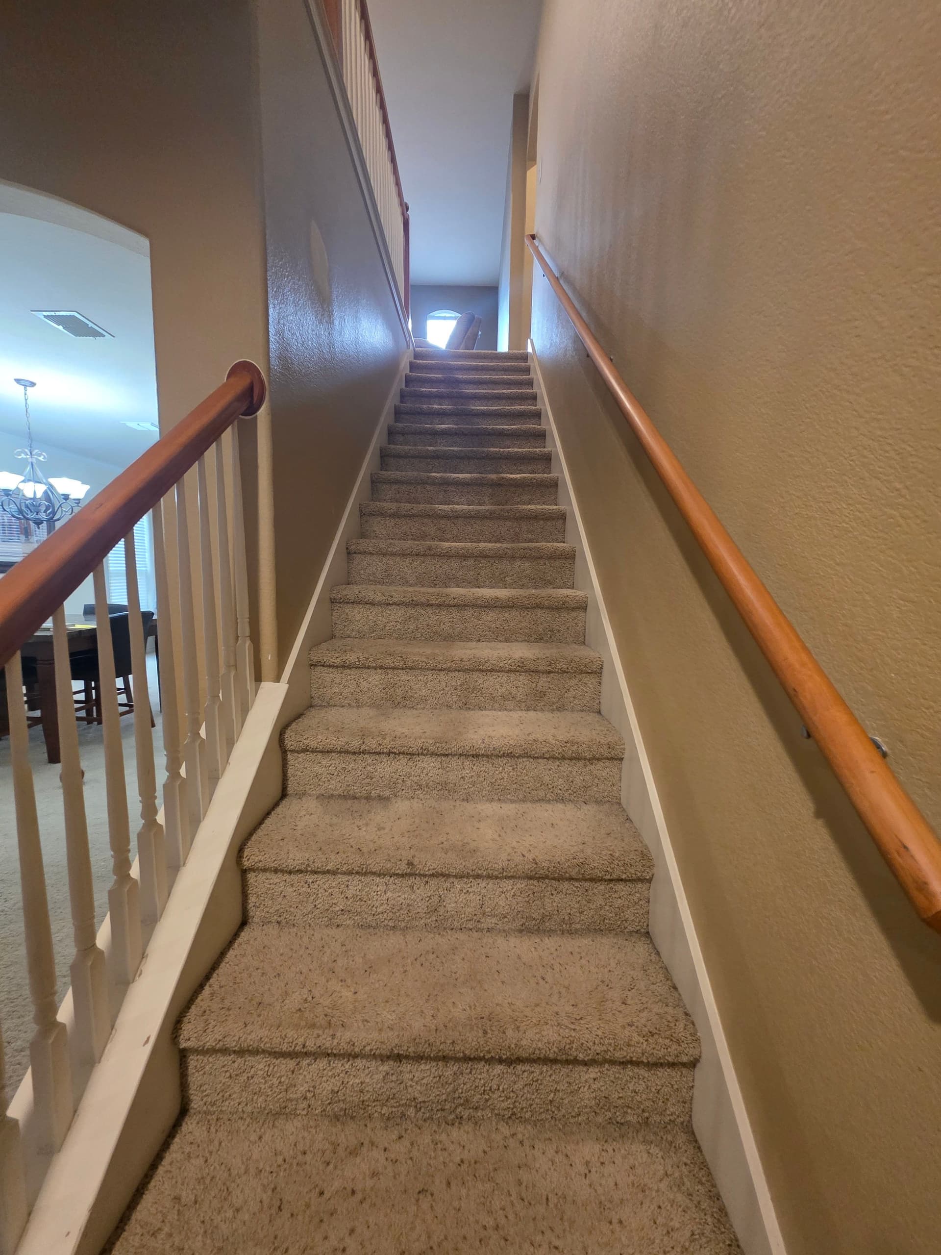 Gallery photos for Fresh Berber Carpet Installation in a Cozy Home: Image #5