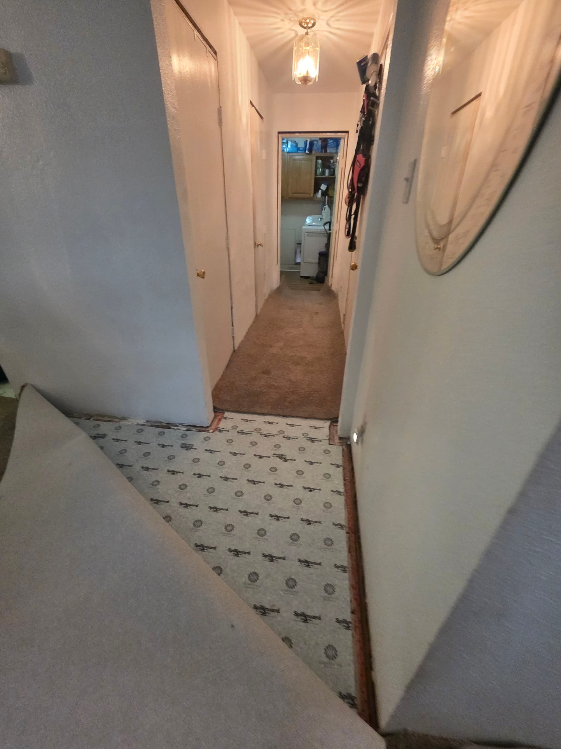 Gallery photos for 60oz Mohawk Carpet and New Baseboards Installed Throughout This Home: Image #4