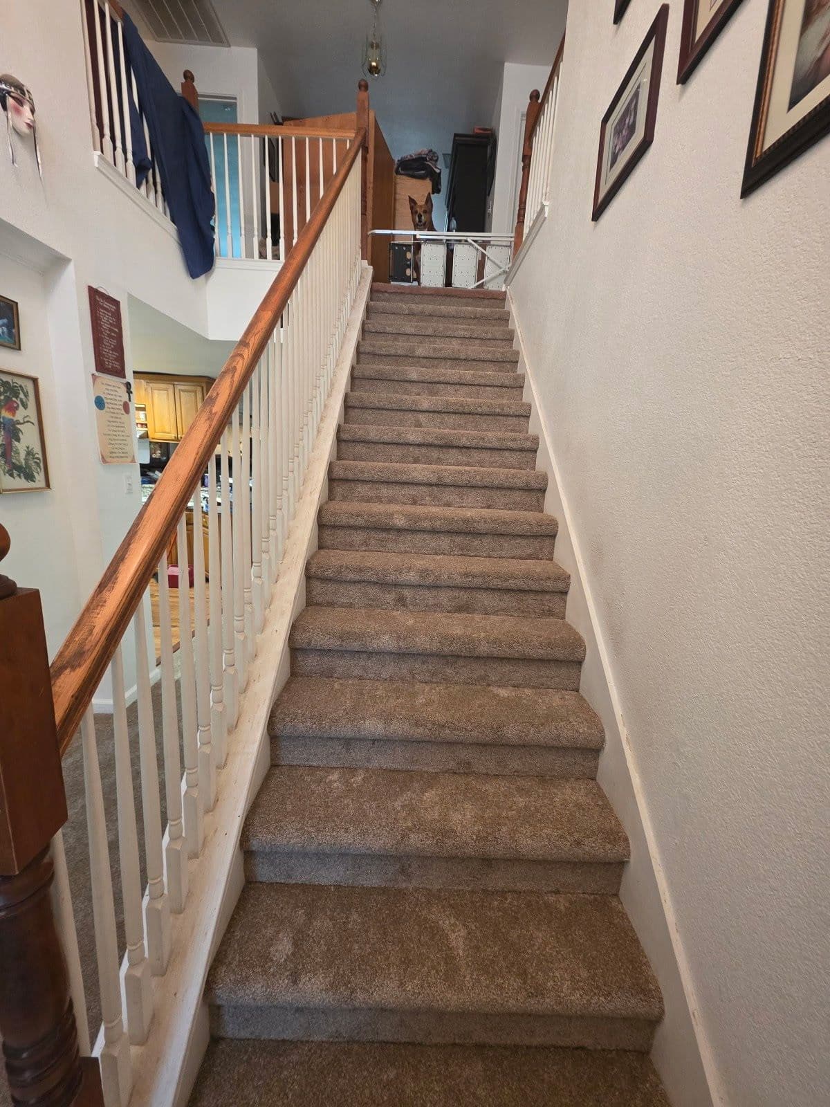 Gallery photos for 60oz Mohawk Carpet and New Baseboards Installed Throughout This Home: Image #1