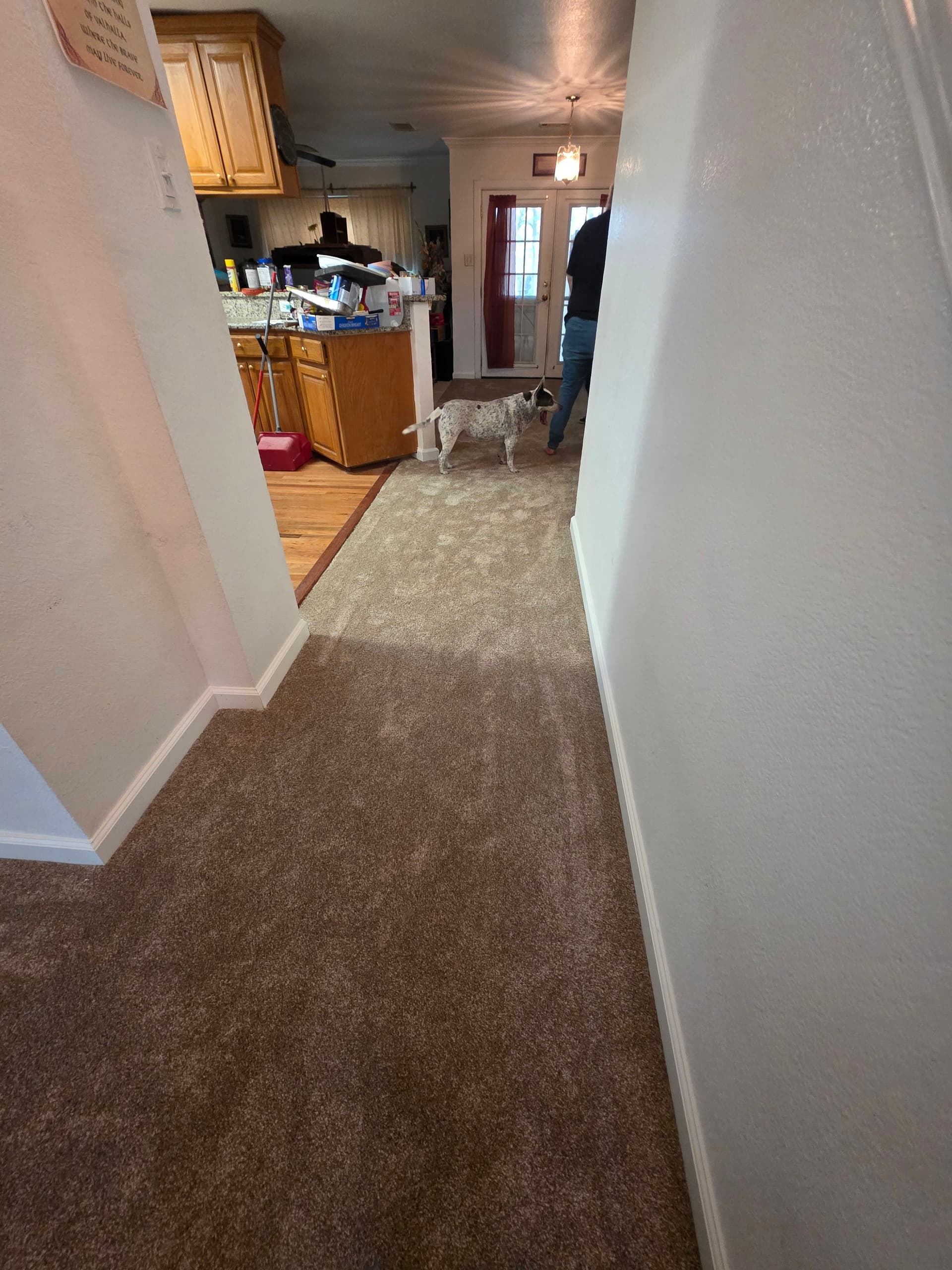 Gallery photos for 60oz Mohawk Carpet and New Baseboards Installed Throughout This Home: Image #8