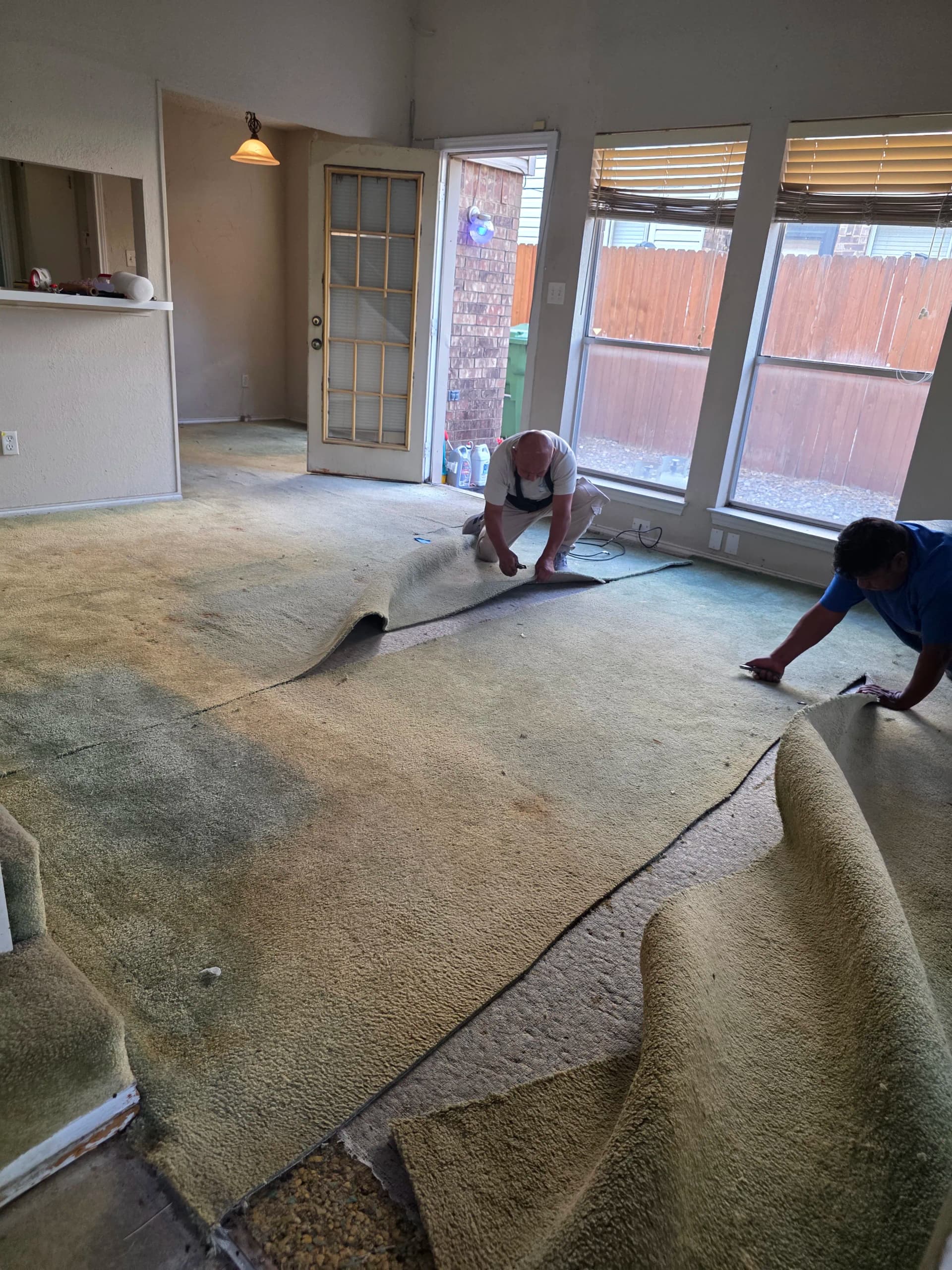 Rental Home Floor Overhaul in Carrollton - Carpet and Laminate image
