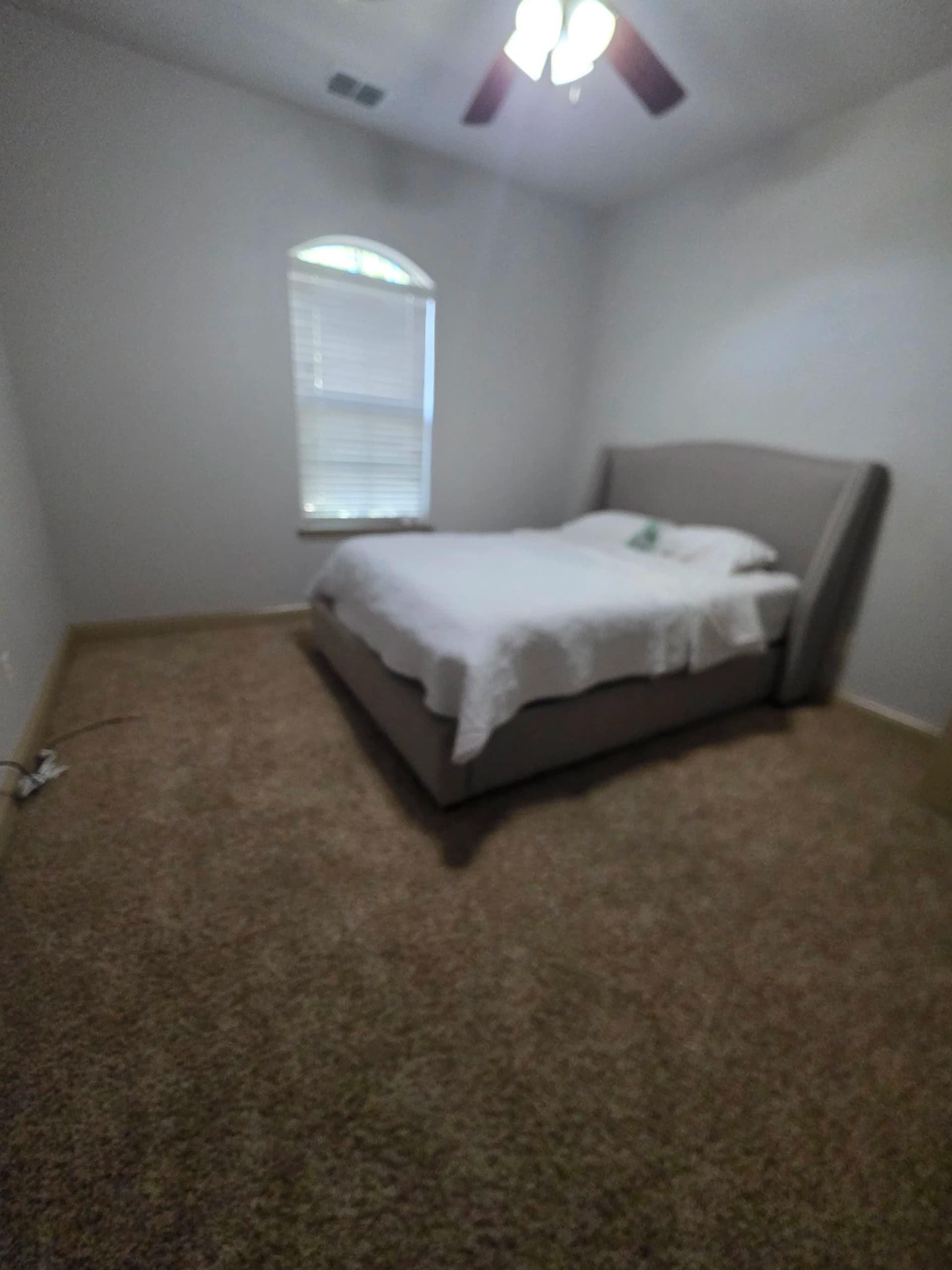 Full Upstairs Carpet Install With Subfloor and Baseboard Repairs image