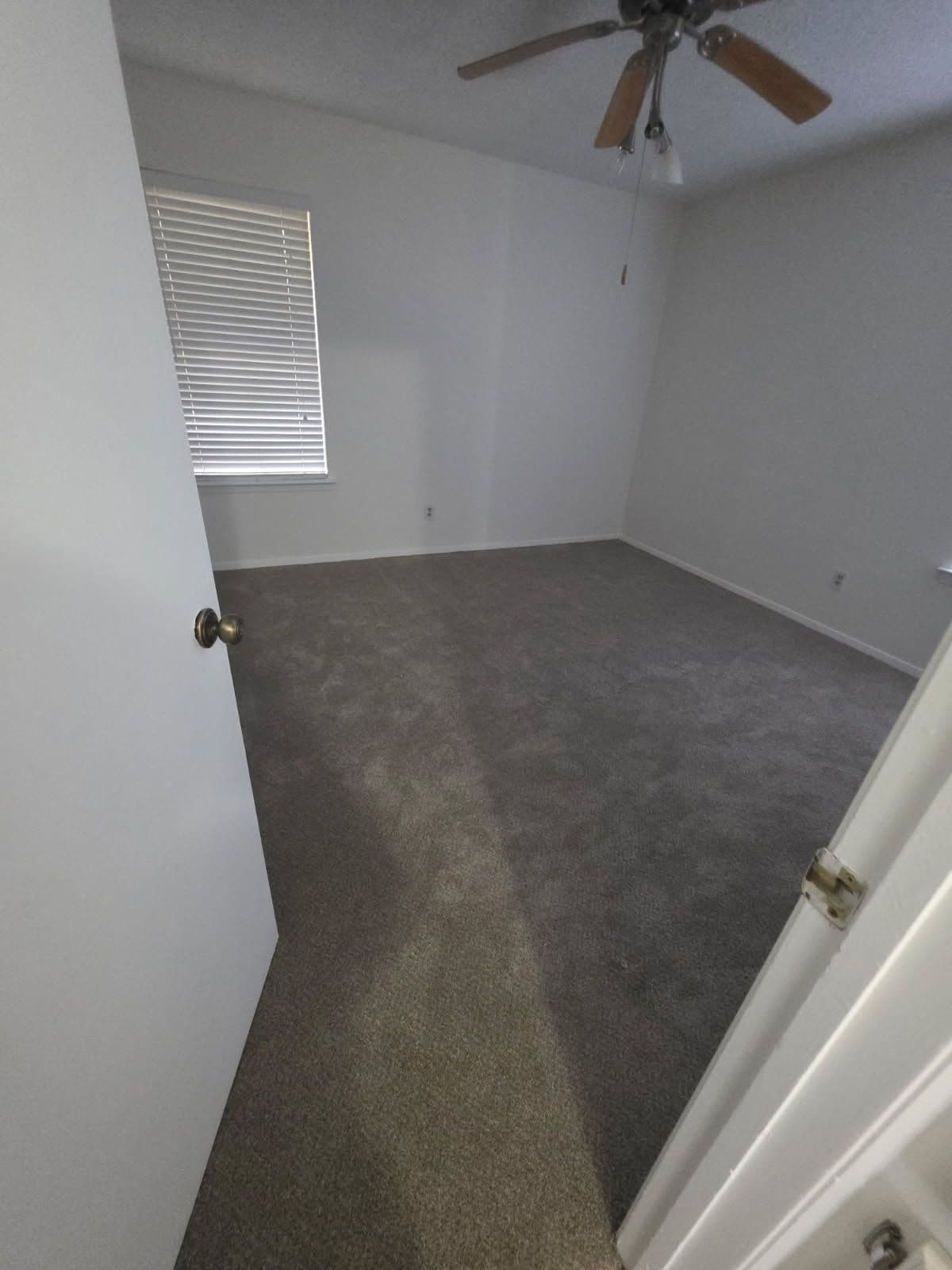 Project Revamp Your Rooms with Cozy Carpets and Sleek Floors image