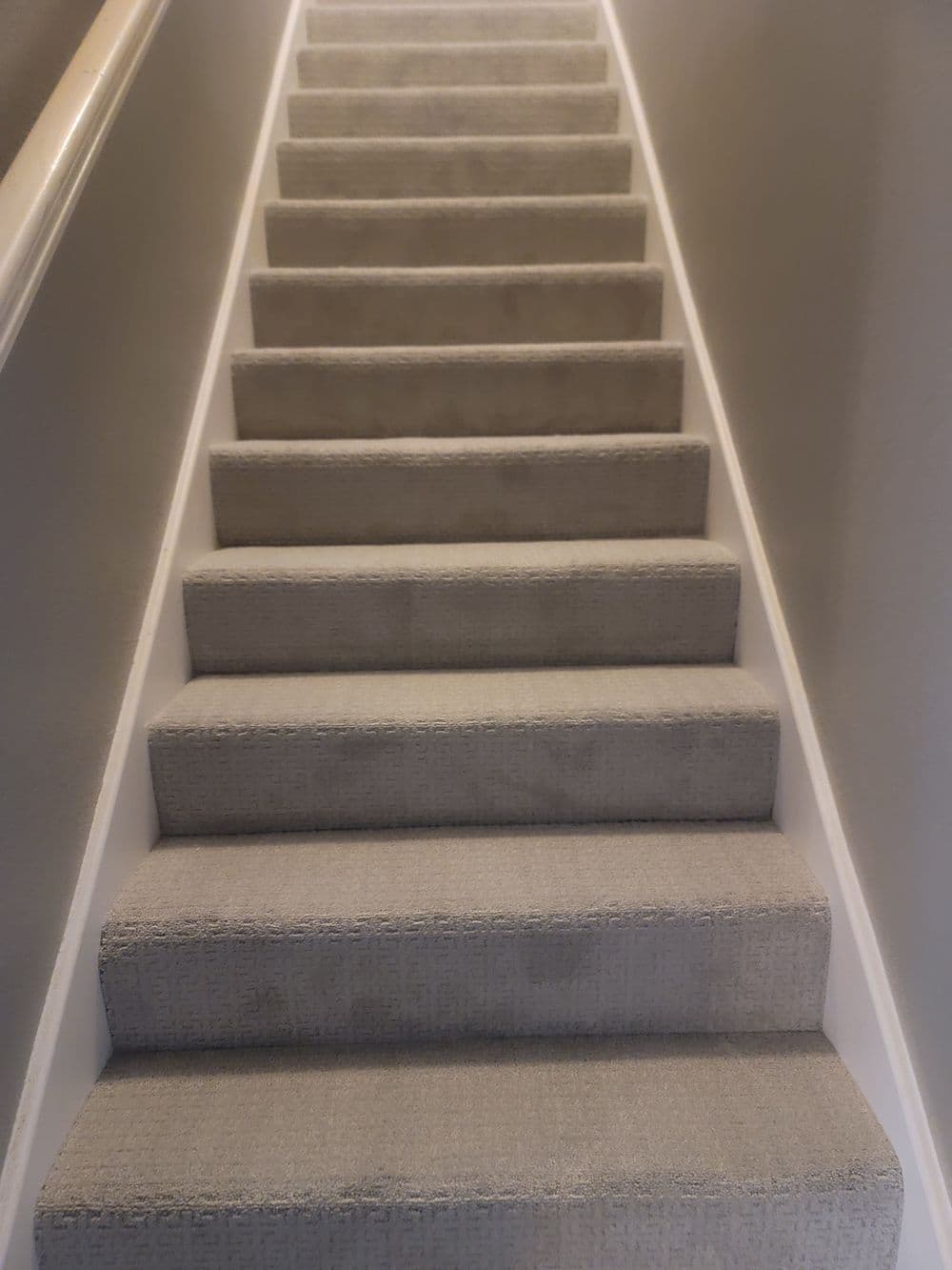 Carpeted staircase leading upward with soft gray tones on walls and steps.