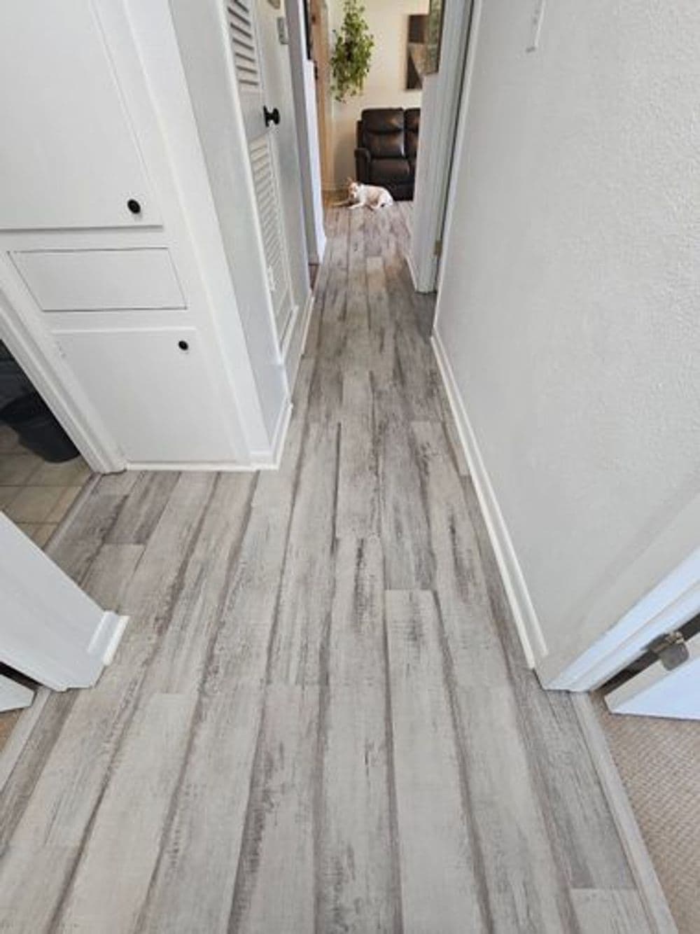 Modern gray wood-look flooring in a bright hallway with white walls and light decor.