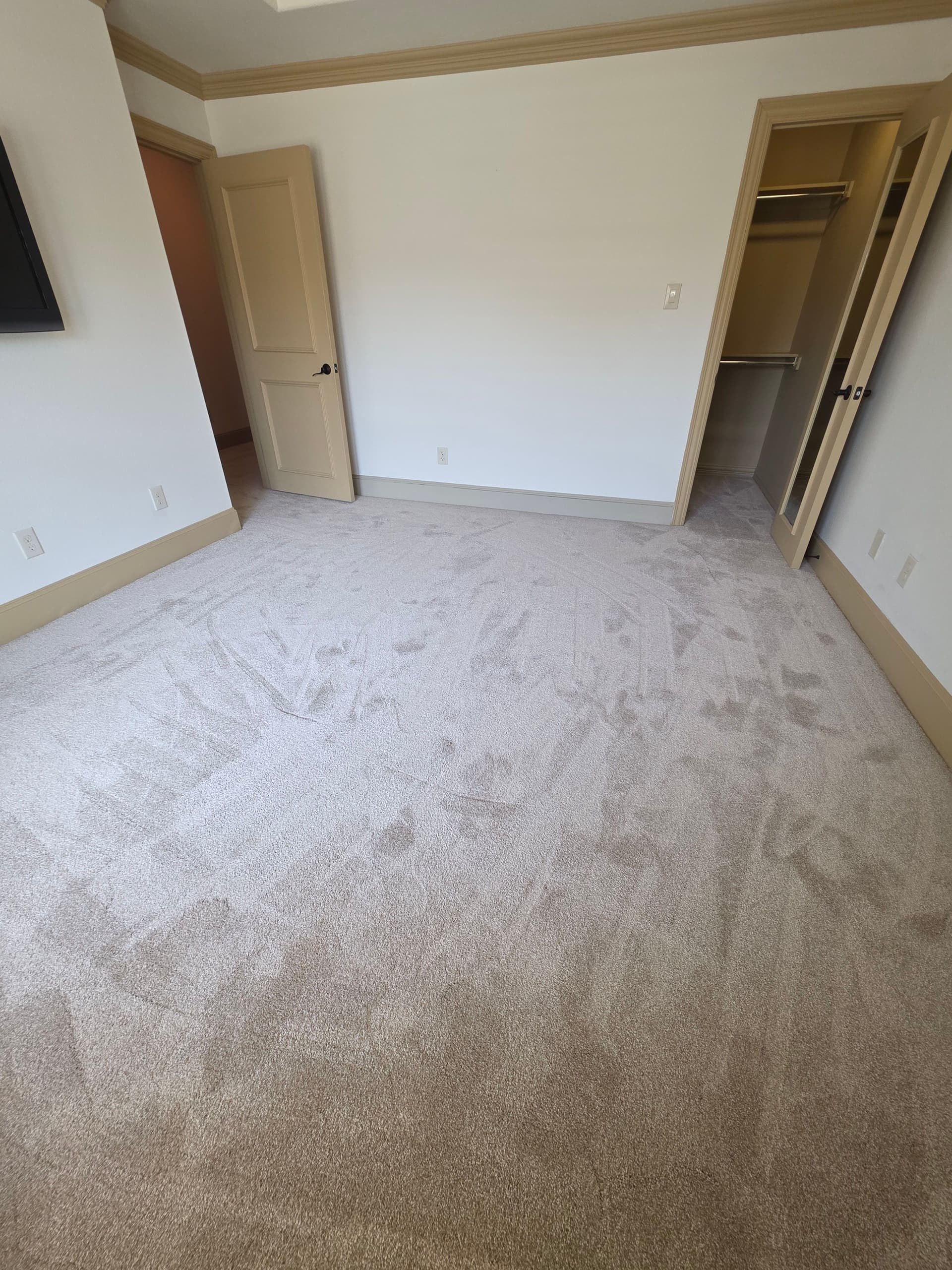 Gallery photos for Plush 60 oz Carpet and LVP Flooring Upgrade Across Multiple Rooms: Image #3