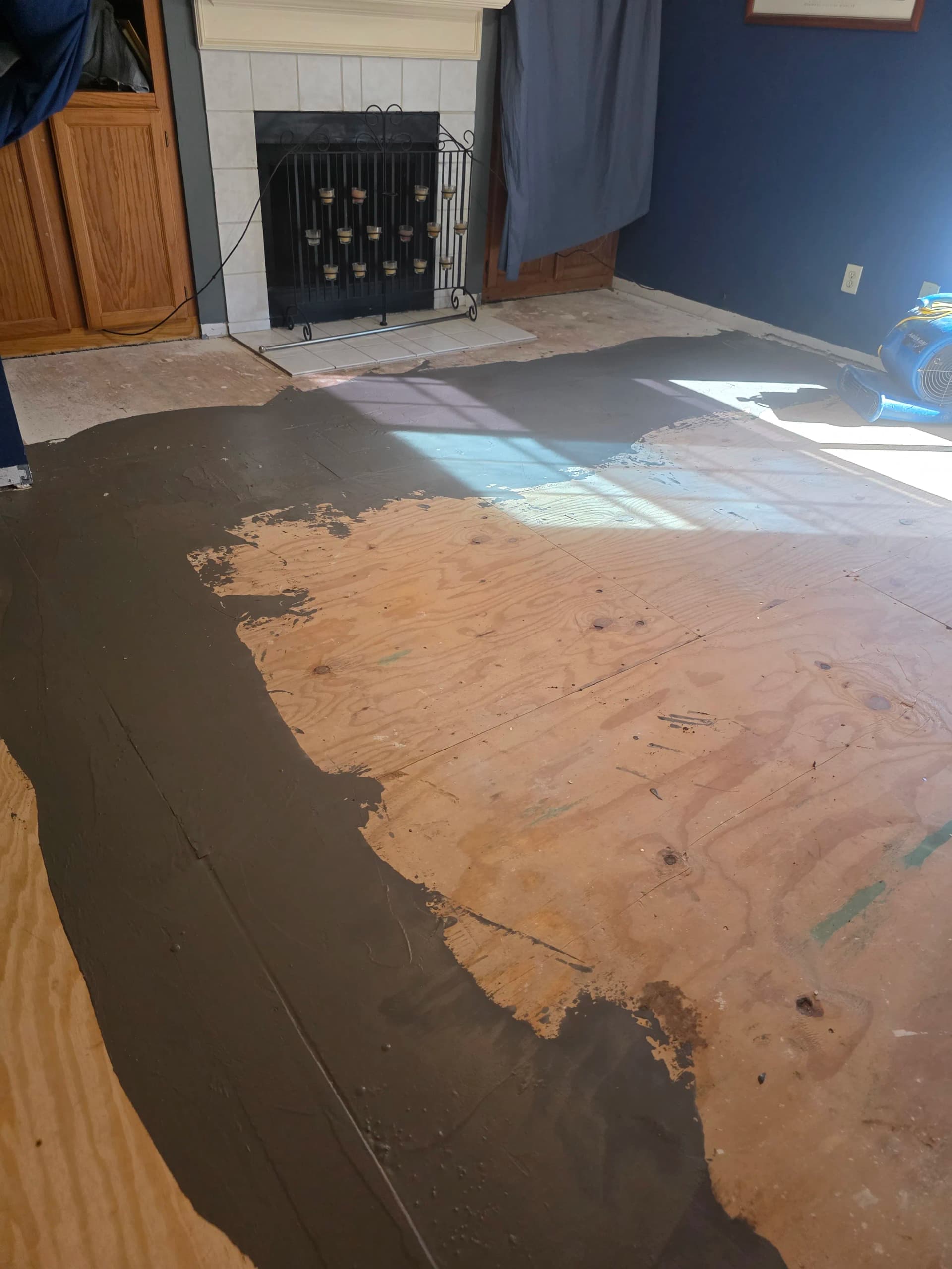 Gallery photos for Hybrid Flooring and Carpet Installation in Frisco: Image #2