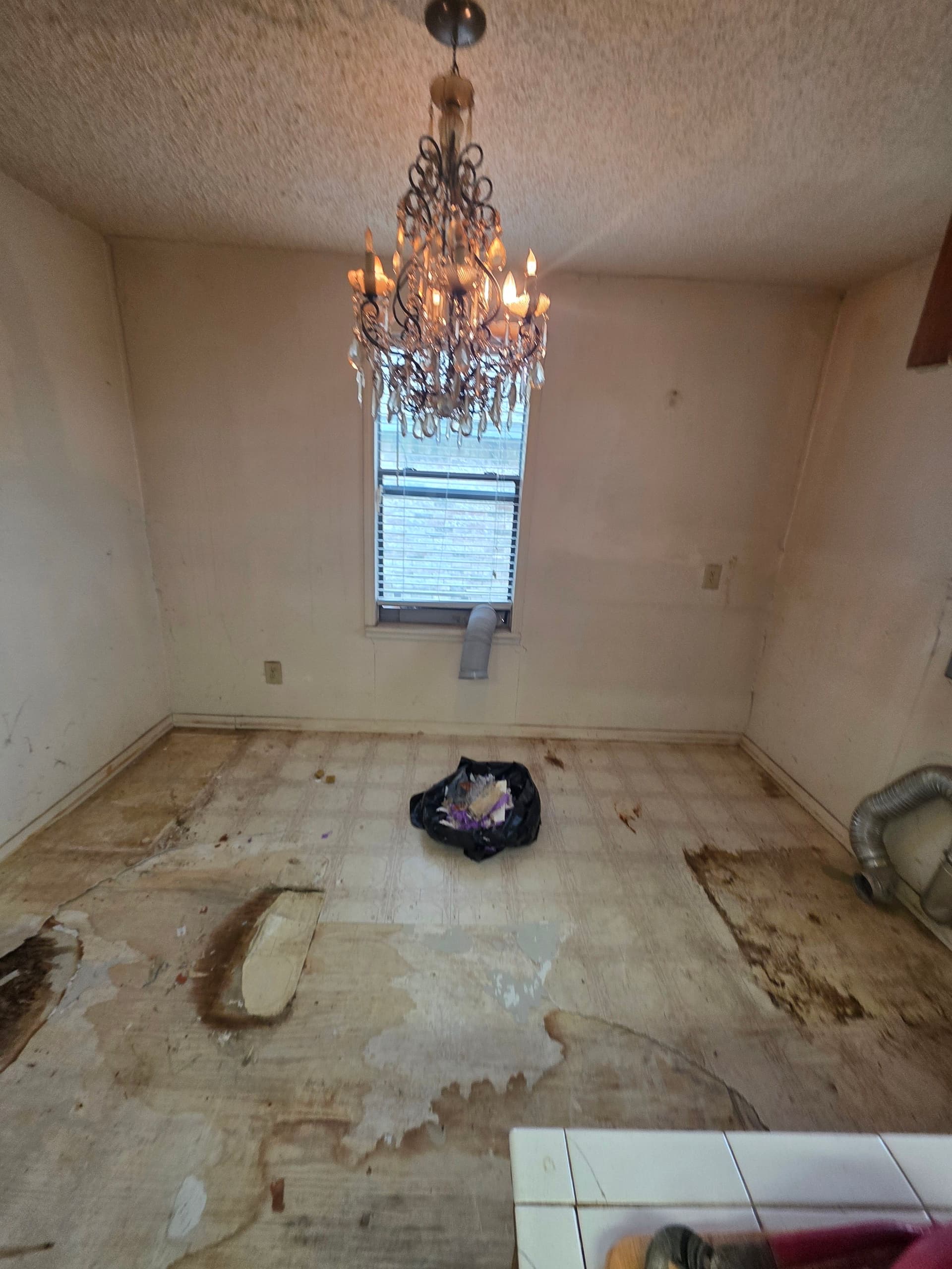 Gallery photos for Stunning Flooring Overhaul: Transforming Every Room: Image #4