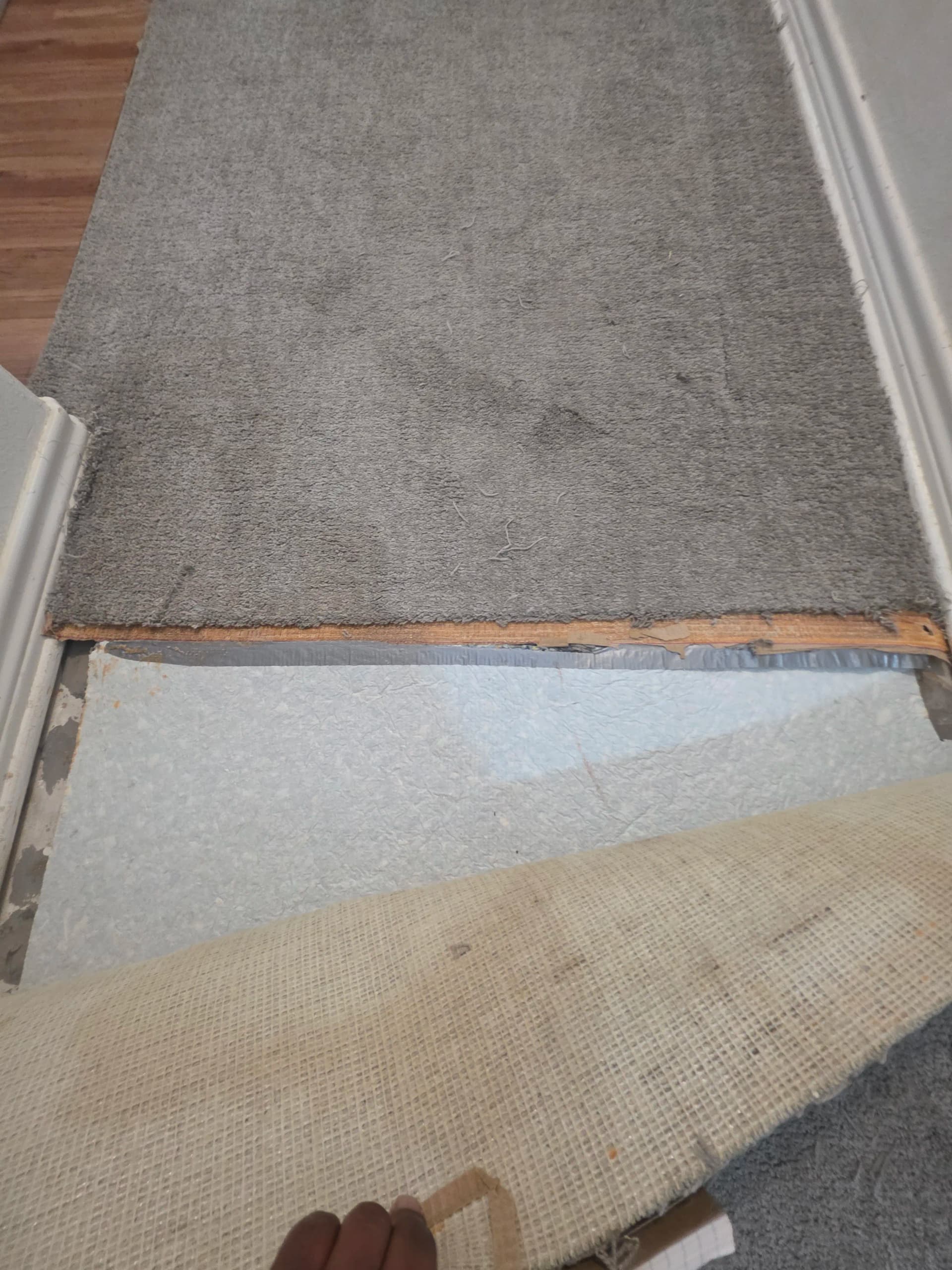 Gallery photos for Carpet Re-Stretch in Waxahachie Living Room and Hallway: Image #2