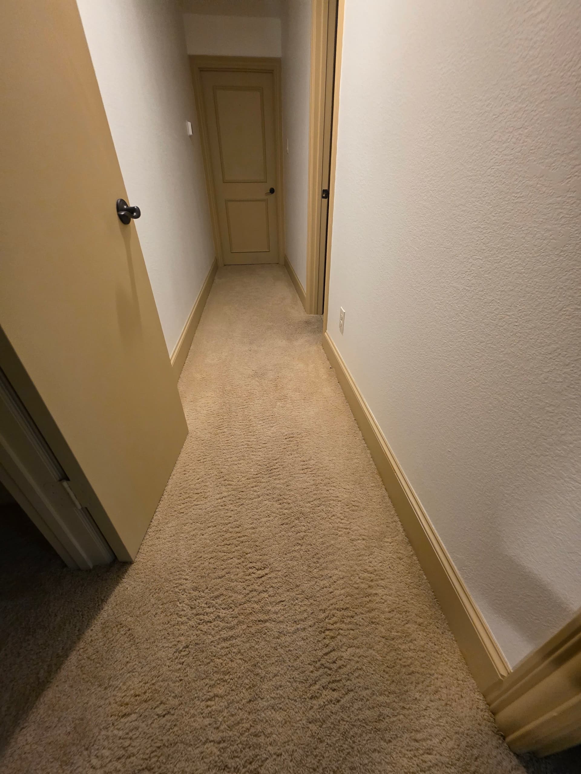 Gallery photos for Plush 60 oz Carpet and LVP Flooring Upgrade Across Multiple Rooms: Image #9
