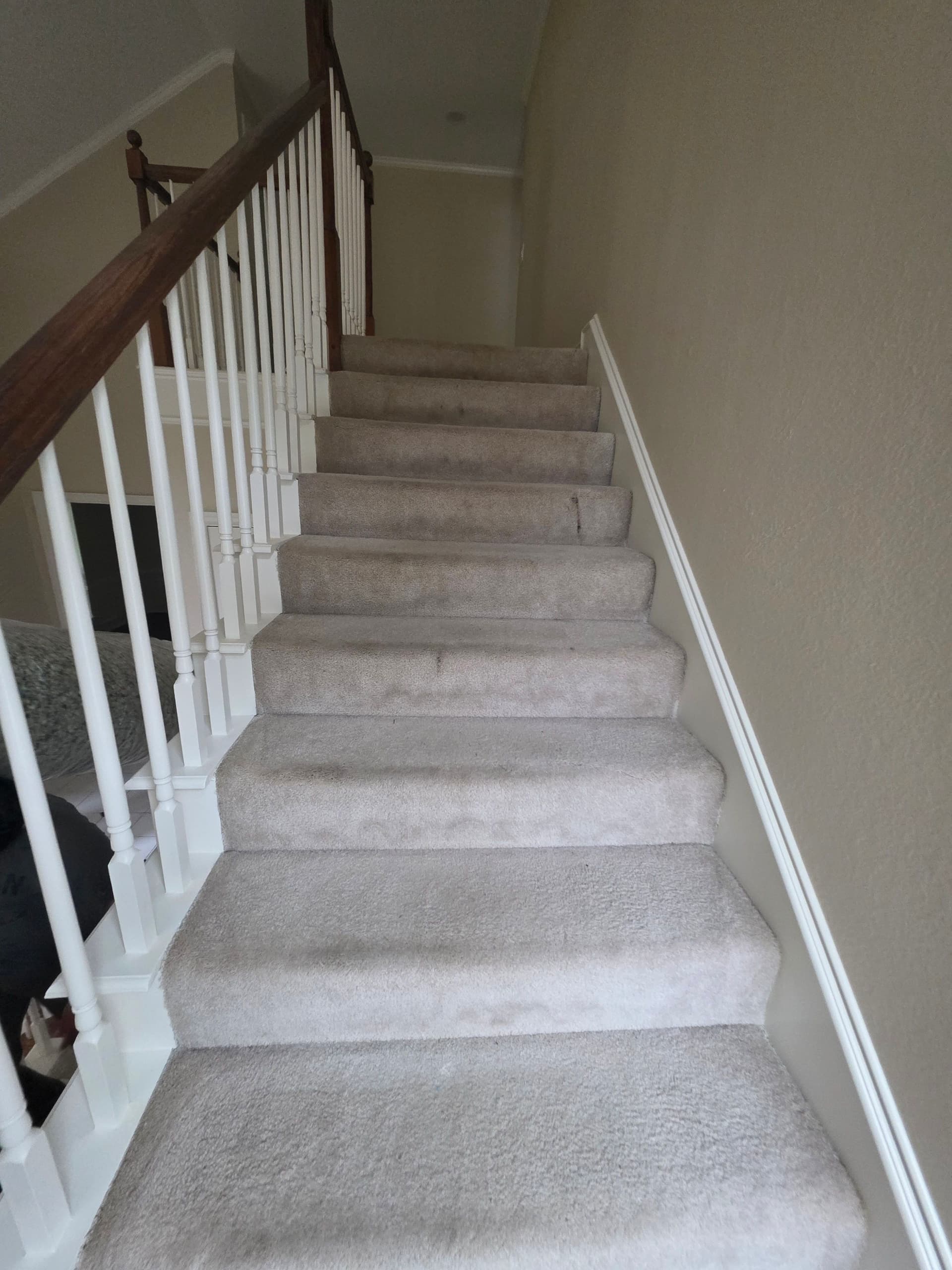 Gallery photos for 145 Yards of Berber Carpet Installed in a Single Day: Image #1