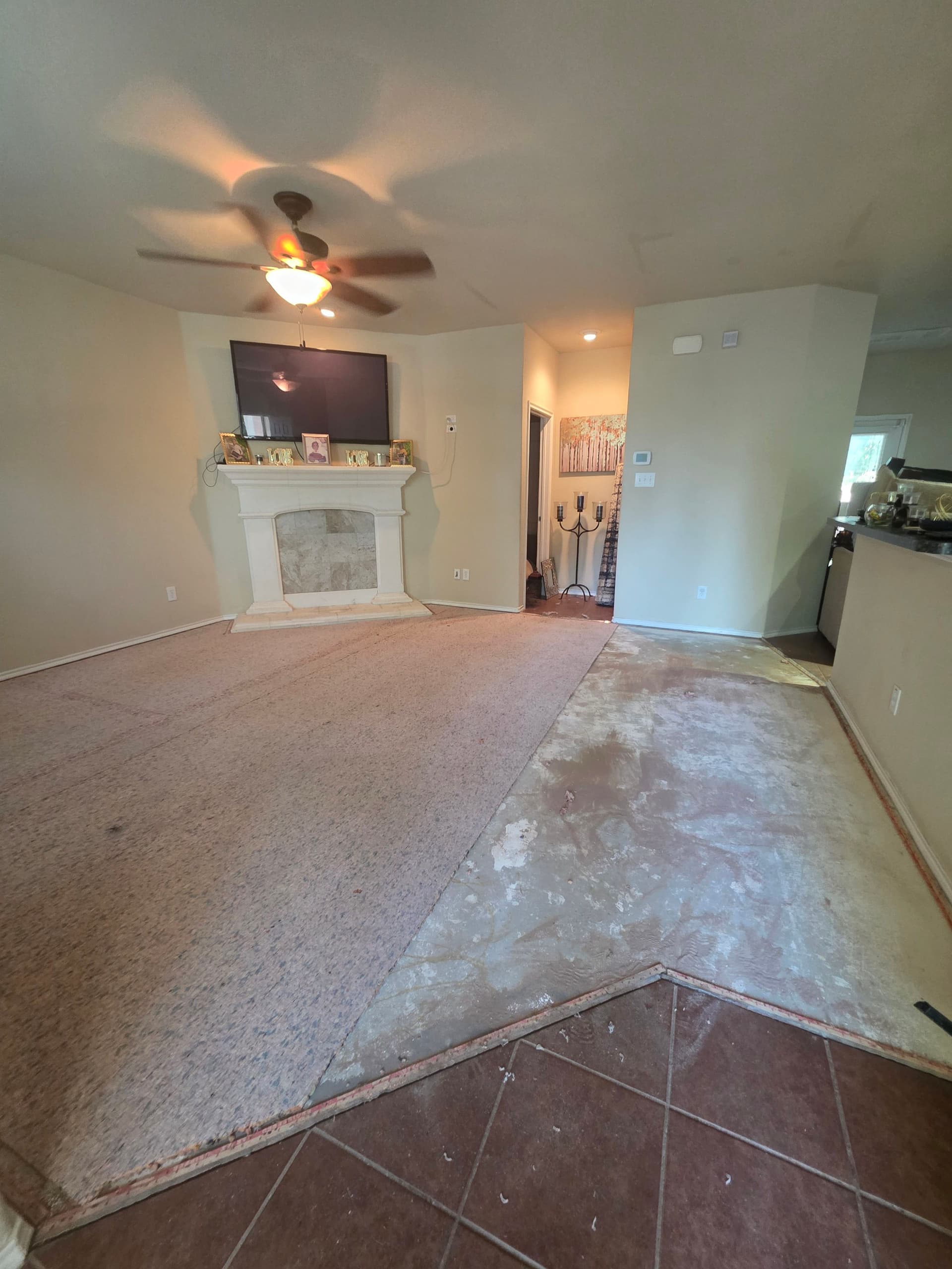 Living Room Carpet Replacement in Providence Village image