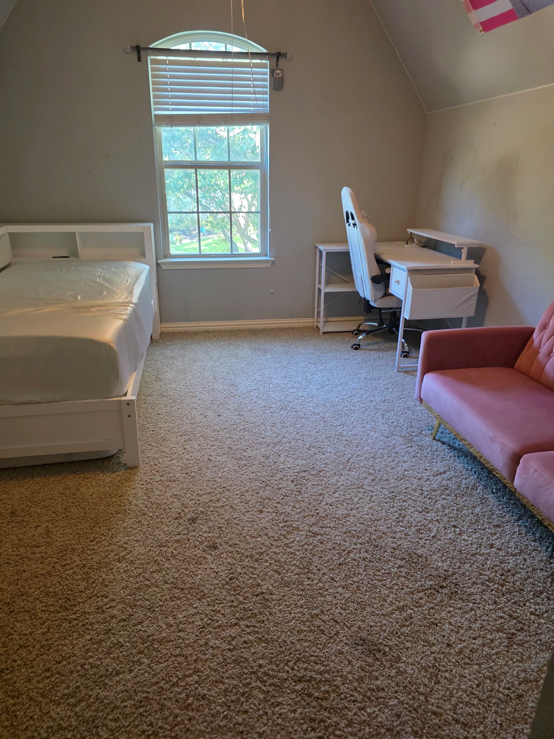 Gallery photos for 250 Yards of Fresh Carpet Across a Full Frisco Home: Image #2